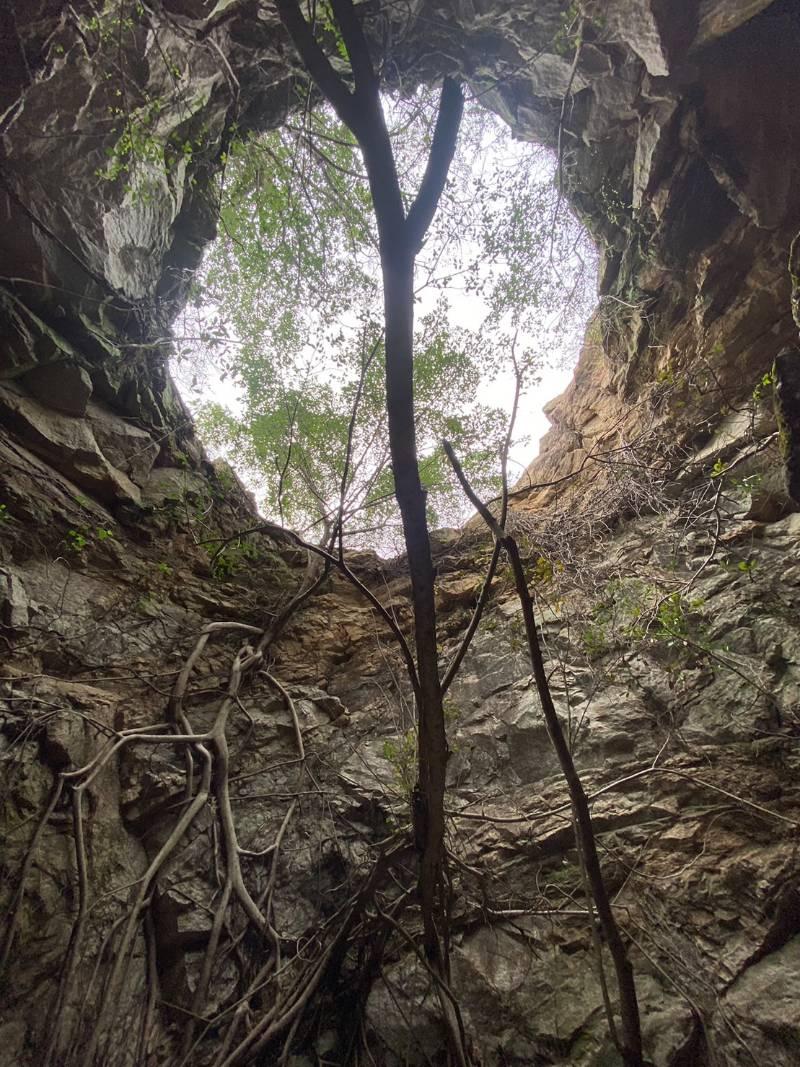 高洞營區祕境超萌 活化金門金湖E-092據點