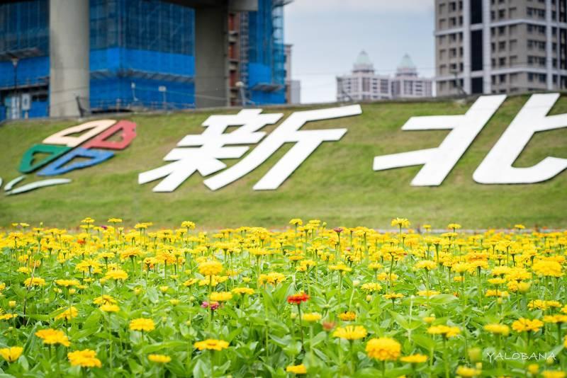  新北大都會公園浪漫花海搭配造型裝置 季節限定美拍景點