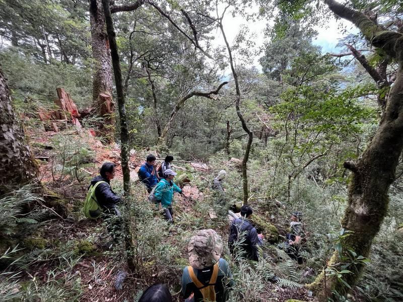 林業署成立掛牌  守護山林無縫接軌