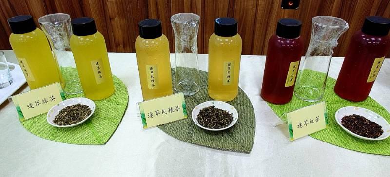 茶改場推出速萃調飲茶新型加工技術 次世代健康調飲茶新上市