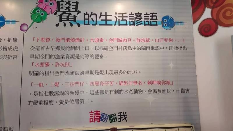 金門水試所環境教育8/22開課：泥灘上的時光印記 