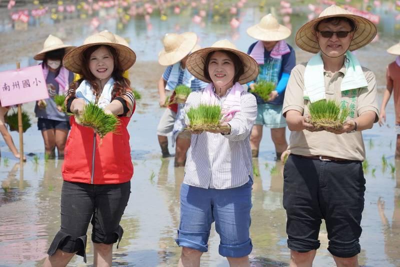 雙十國慶揭神秘面紗 南州彩稻種出海底世界