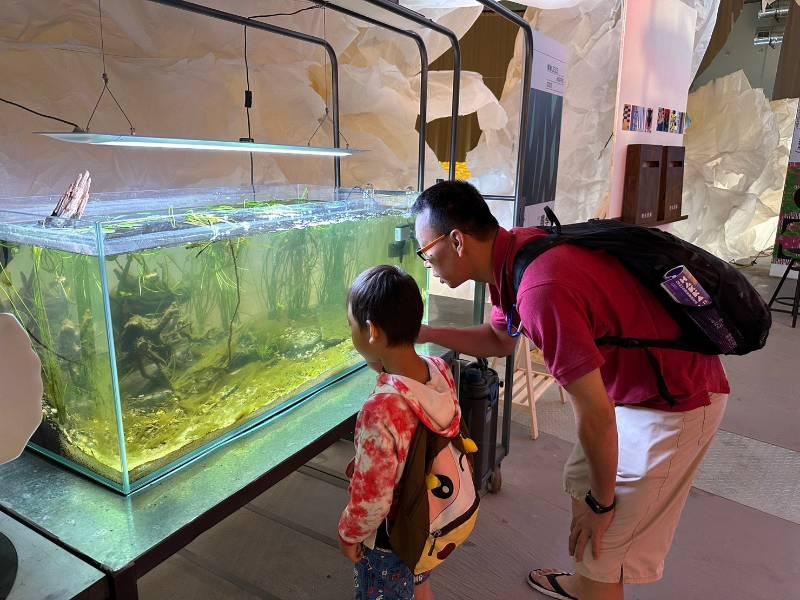 農學實驗野蓮綠金超吸睛！世界客家博覽會高雄展區獲熱烈迴響！