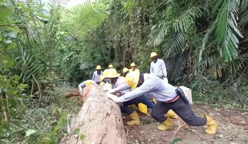 海葵颱造成逾6594戶停電 台電新營區處：積極搶修中