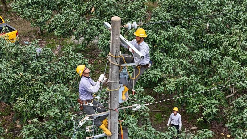 高雄供電品質大幅提升！台電高雄、鳳山區處攜手改善停電問題！