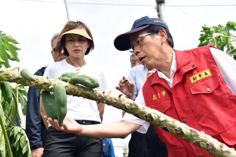 海葵造成嚴重農損，林欽榮指示從速從寬從優查報農損，協助農民及早復耕！