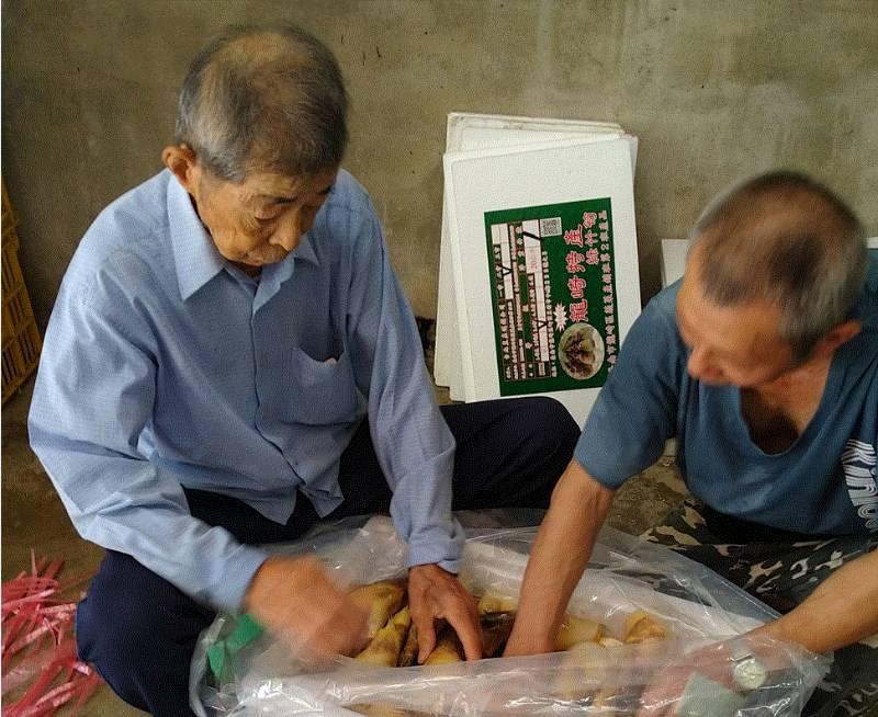 台南山城產銷履歷綠竹筍 鮮嚐美味安全有保障