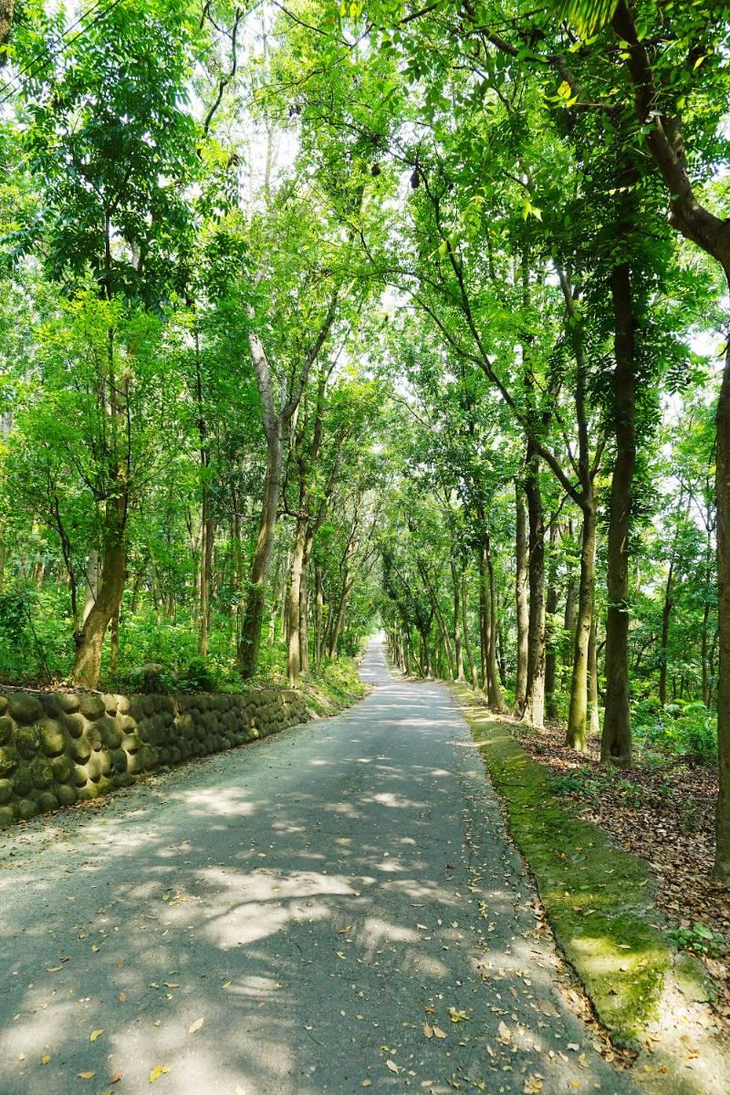 《魚頭君帶路》十月號  漫步菱角田梗間 感受水雉與在地共好的日常