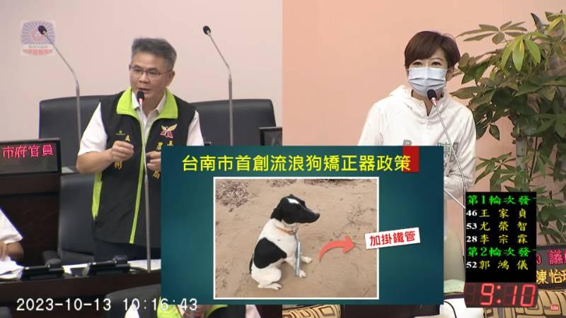 市議員陳怡珍檢討流浪狗加掛矯正器成效