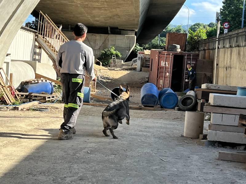 通過國際認證大放異彩！高雄市政府消防局搜救犬搜救量能提昇！