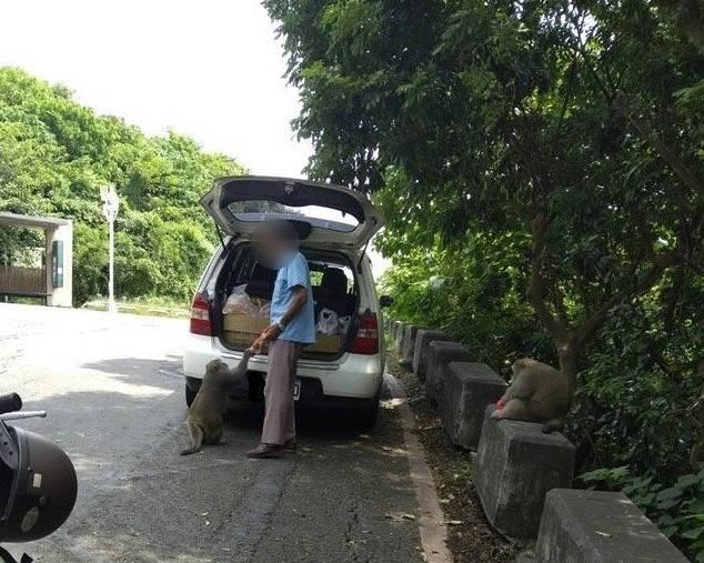 成功檢舉餵食高雄壽山區域獼猴 民眾獲農業局頒發獎金