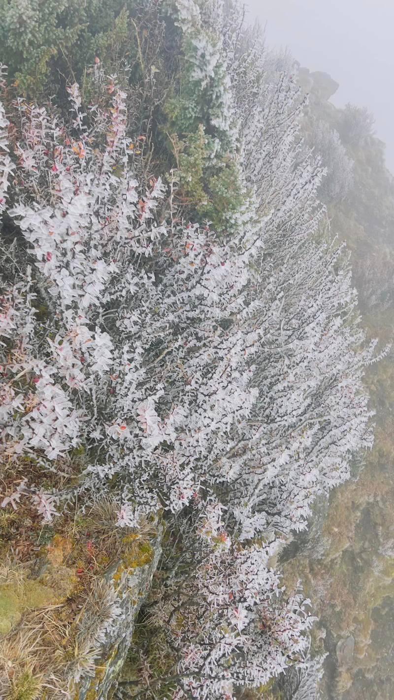 冷空氣發威！ 玉山北峰結霧淞合歡山下冰霰