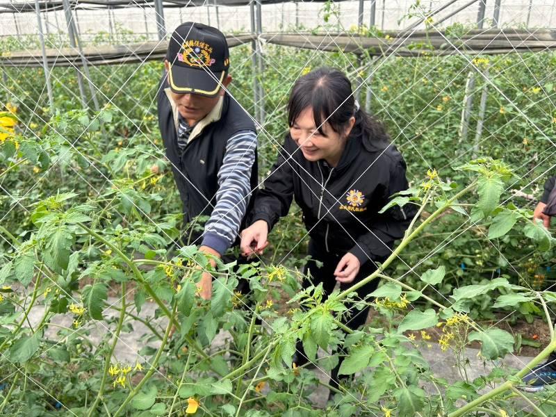 創業有成榮民呂明自 網室後宮佳麗玉女三千