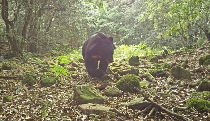 玉管處與野灣野生動物保育協會簽署「臺灣黑熊救傷合作備忘錄」