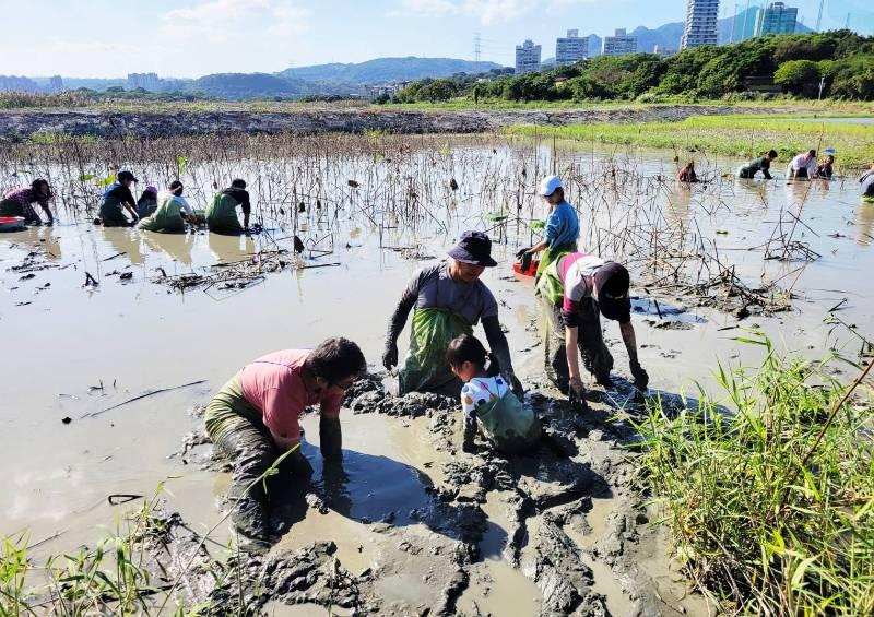 關渡自然公園「心濕地」今(113)年舉辦多場活動讓民眾體驗大自然