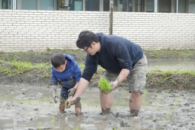 新北休耕田變教室 雙溪師生春耕祈福