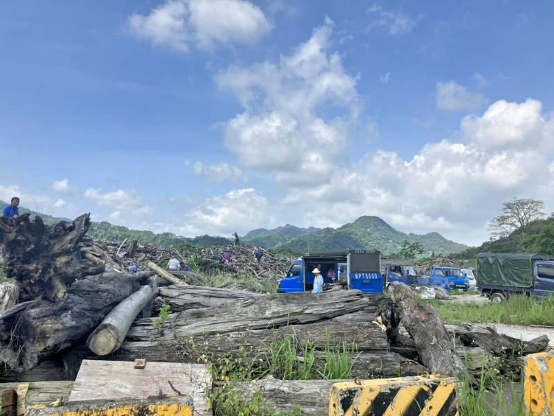 石門水庫漂流木分階段開放自由撿拾　首階段由設籍桃市大溪、龍潭及復興居民優先