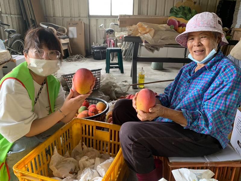 「小崇ㄉ果園」做公益 連續6年助創世植物人安養