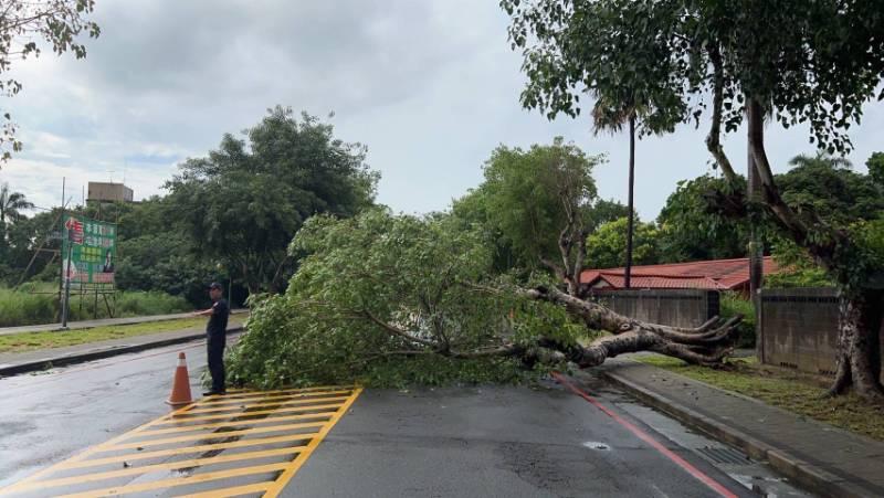 雨彈狂炸路樹橫躺車道 中興勇警急救援