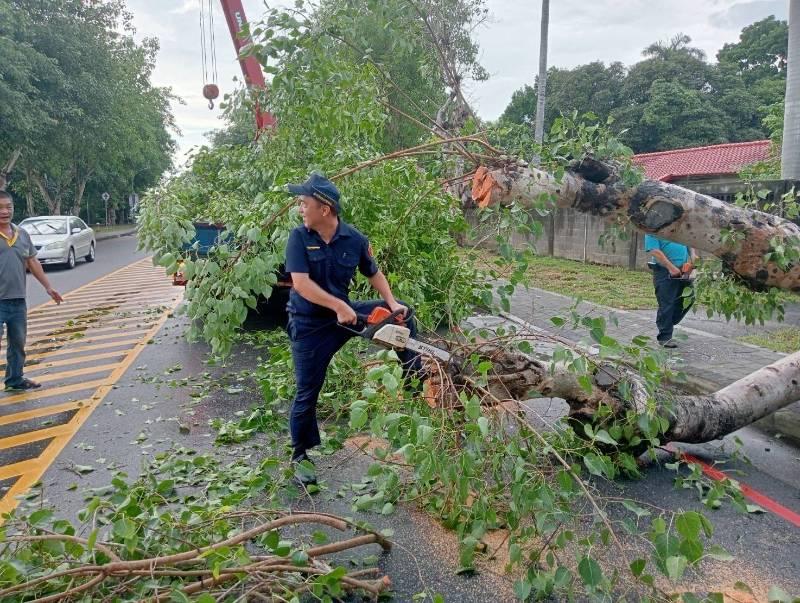 雨彈狂炸路樹橫躺車道 中興勇警急救援