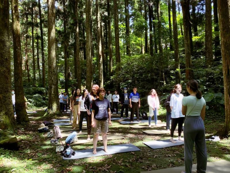 夏日親近自然好趣處　東眼山「癒見森林：森活療癒力」打開五感