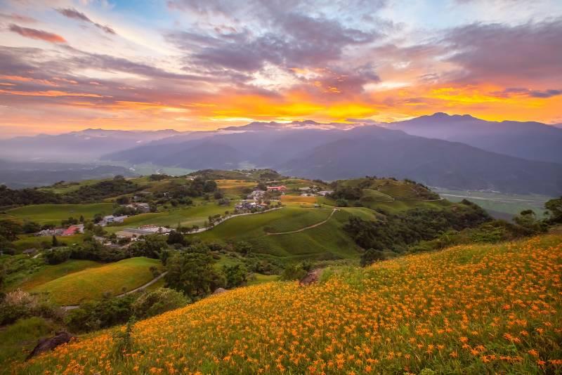 花蓮縣金針花季8月10日正式開跑-赤科山、六十石山花海迎客