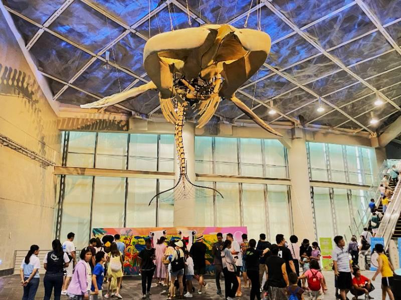 屏東海生館海洋世界避夏暑 超萌明星吉祥物見面會 共創湛藍夏日回憶