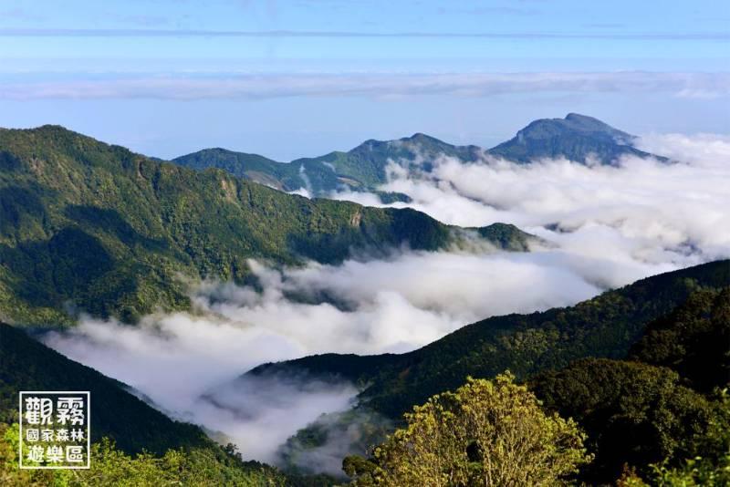 父親節的音符饗宴　竹縣桃山國小合唱團為觀霧大地悠揚頌歌