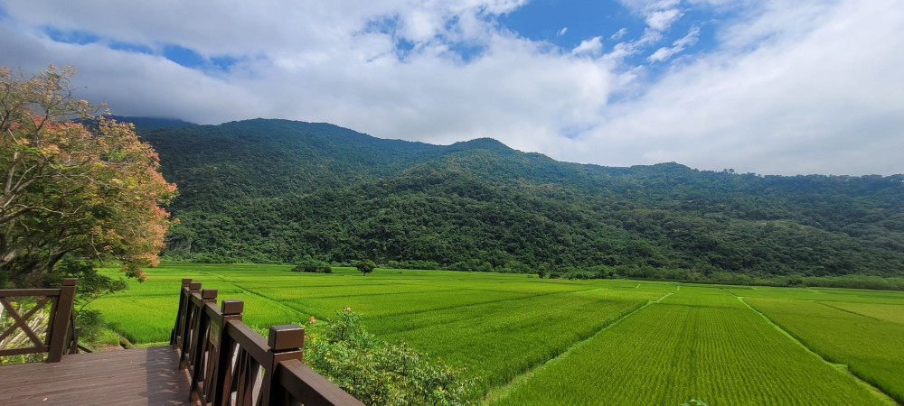 秋賞南安 布農瓦拉米蕨之路人文探訪之旅