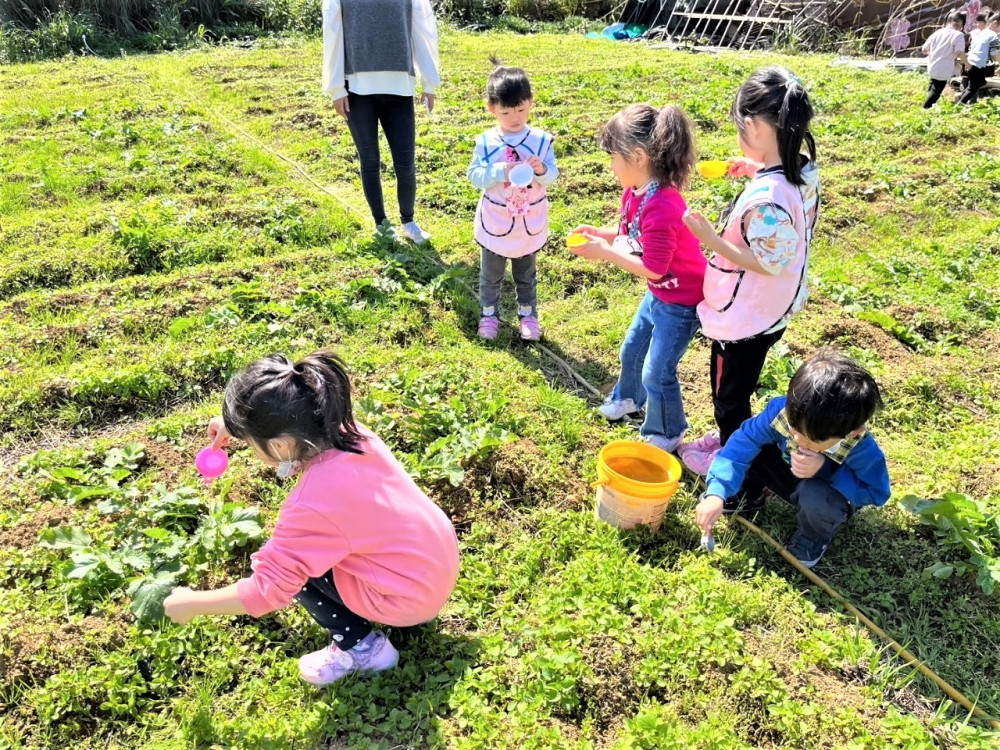 新北健康促進從幼扎根 113年度幼兒園健促獲獎數全國第一