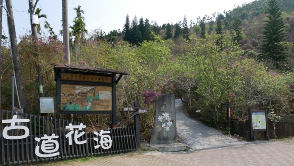 冬日暖陽來臺南登山吃美食賞美景 適宜戶外踏青在這