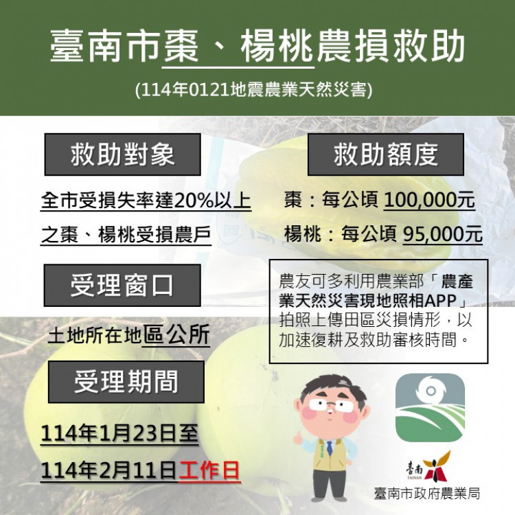 0121地震導致南市棗楊桃受損 1/23-2/11受理現金救助申請