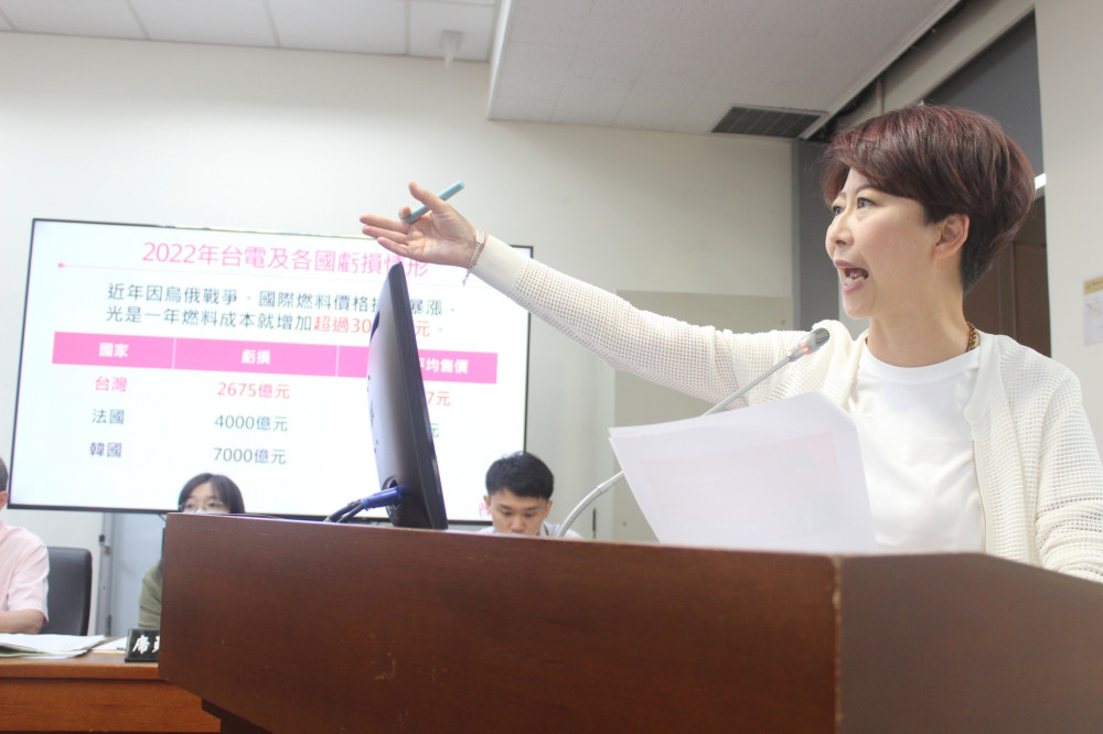 喊話在野黨「台電撥補必須過」　立法委員陳亭妃：鬥爭不應犧牲民生