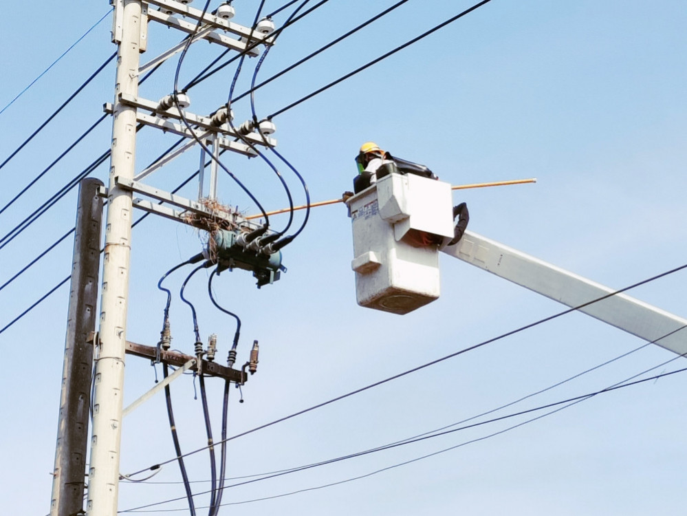 確保假期間供電穩定　台電新竹超前部署預防性維護作業守護民眾用電