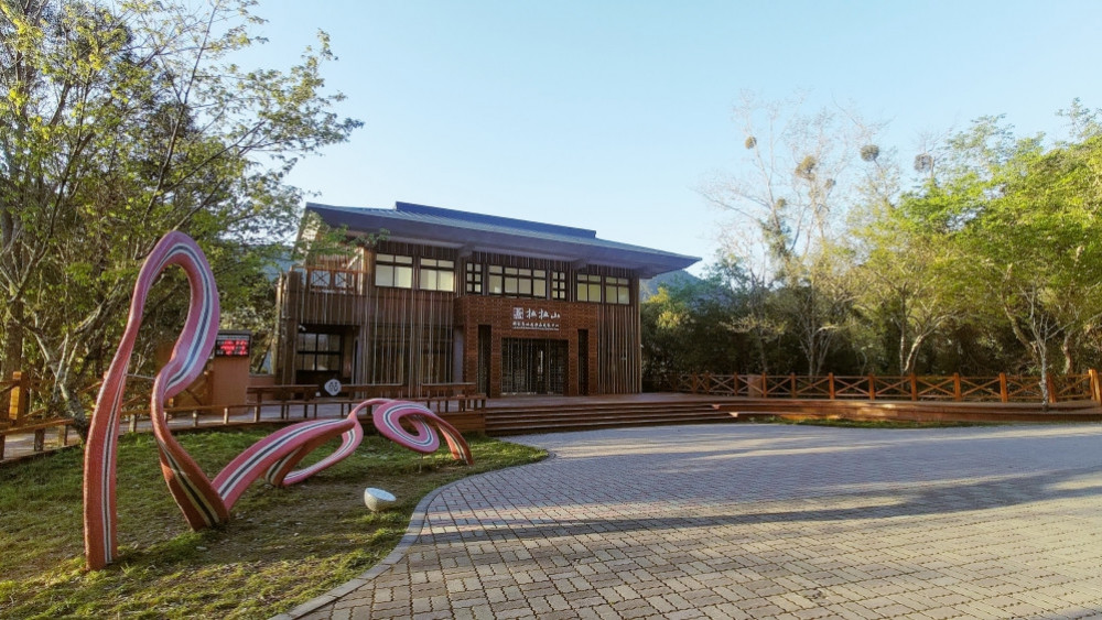 巨木陪你一起聽音樂　拉拉山巨木音樂會揭開暑假旺季旅遊序幕