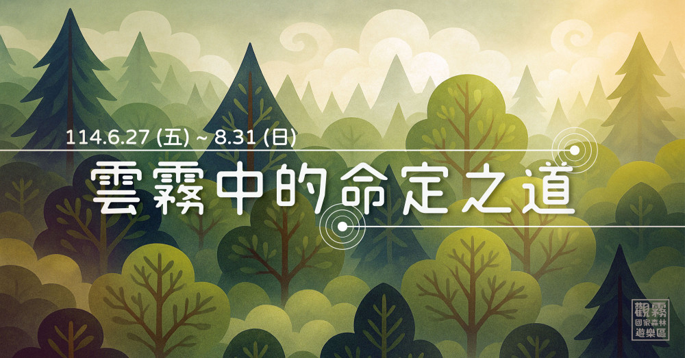 解鎖觀霧森林路　林保署新竹分署「雲霧中的命定之道」提升遊憩體驗