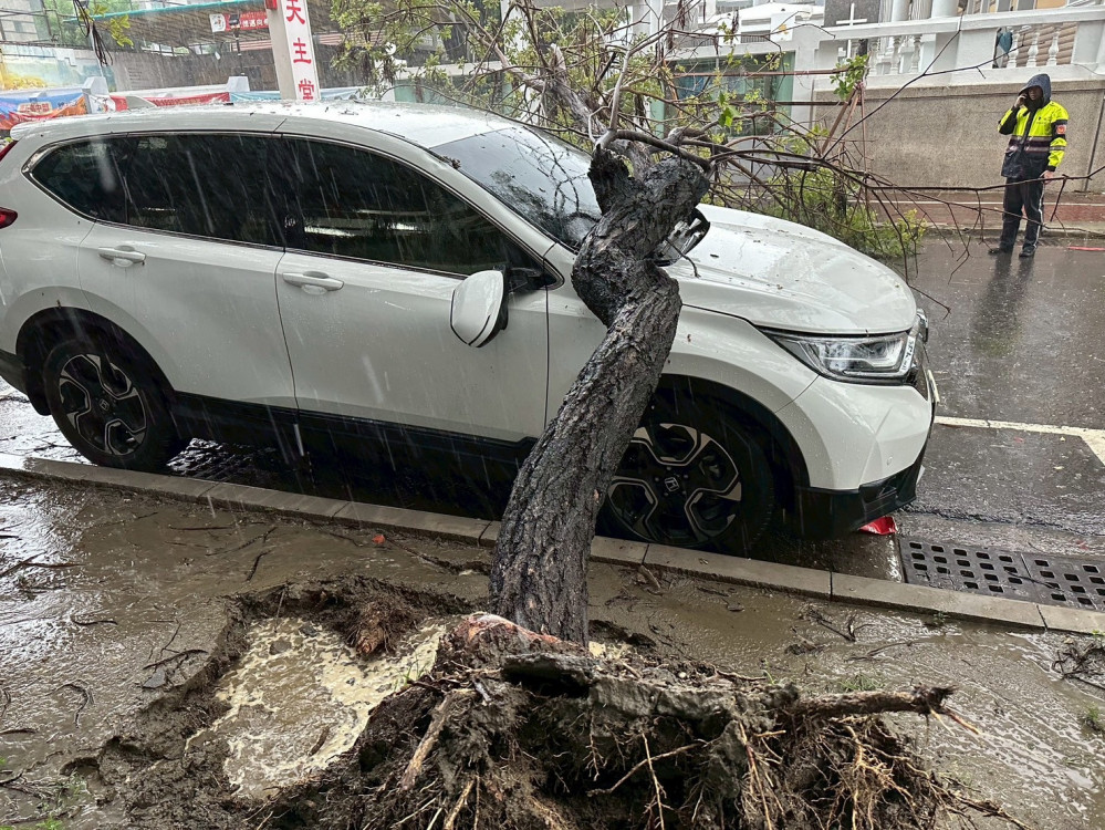 西南風南部劇降雨致路樹倒塌！南警交管確保安全