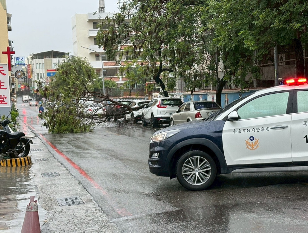 西南風南部劇降雨致路樹倒塌！南警交管確保安全
