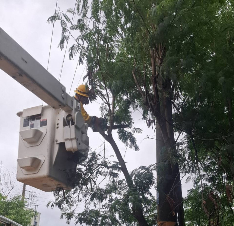 丹娜絲颱重創臺南停電逾17萬戶 台電正積極搶修中