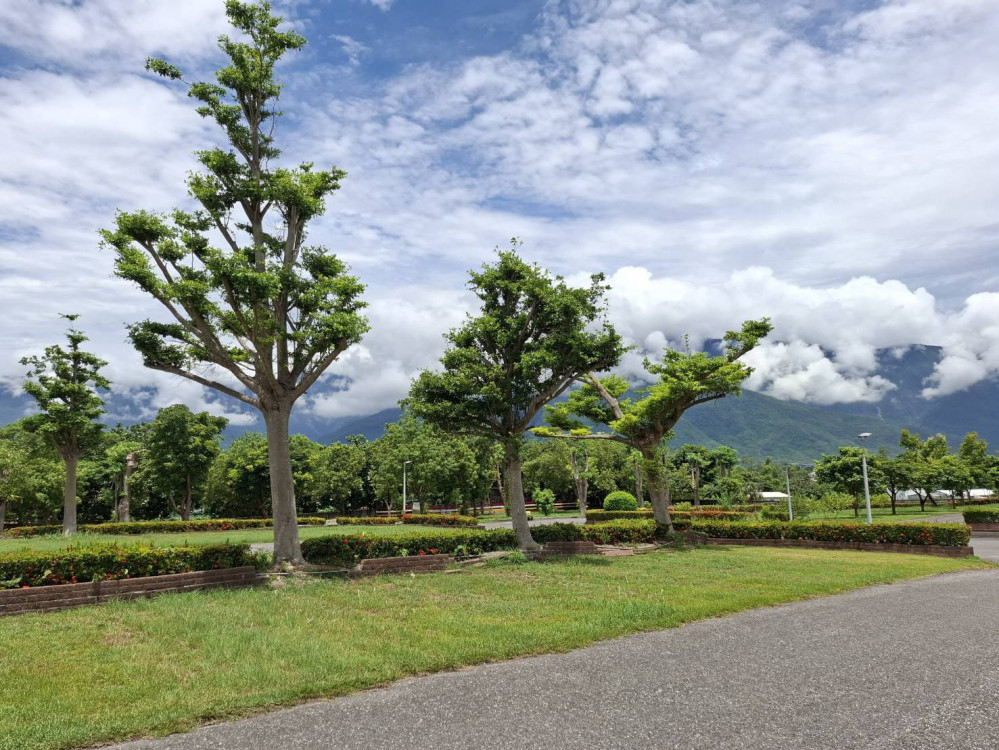 花蓮榮家枯木變沃土 打造環保新景觀