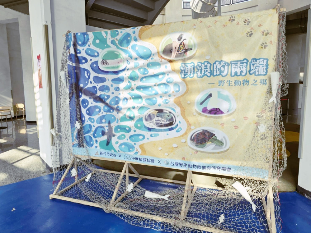 保育共生、守護動物　竹市「湧浪的兩端：野生動物之殤」特展開展