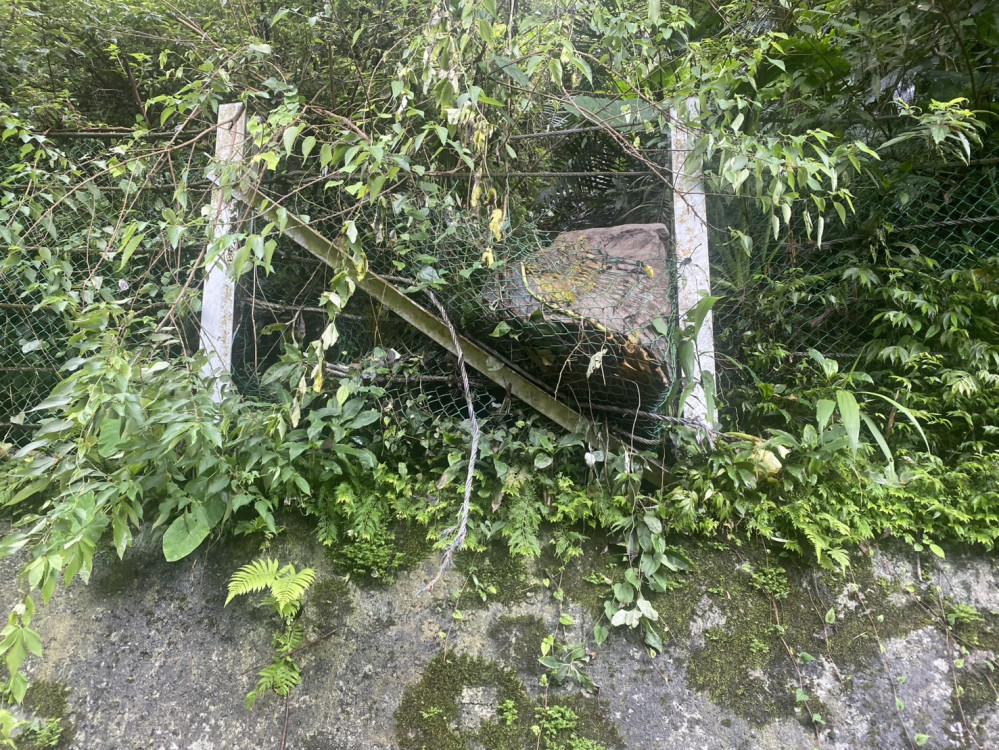 烏來台車0K＋980上邊坡落石　林保署新竹分署：自7/29下午1時起停駛