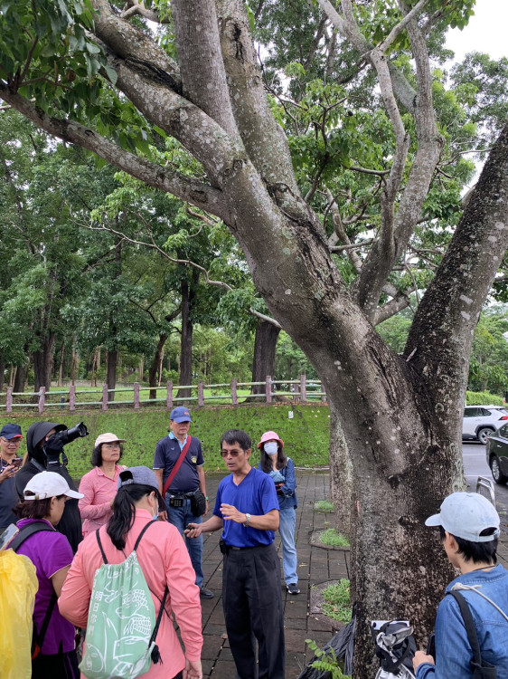 旗山區公所夏季生態導覽 孔廟園區植物之旅啟動