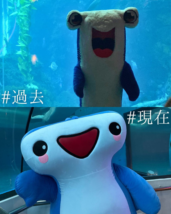 屏東海生廿五特展-潮湧時光！分享「過去vs現在」照抽夜宿免費名額