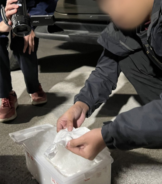 連江破獲走私保育鸚鵡蛋跨境犯罪集團 獲利高達上千萬