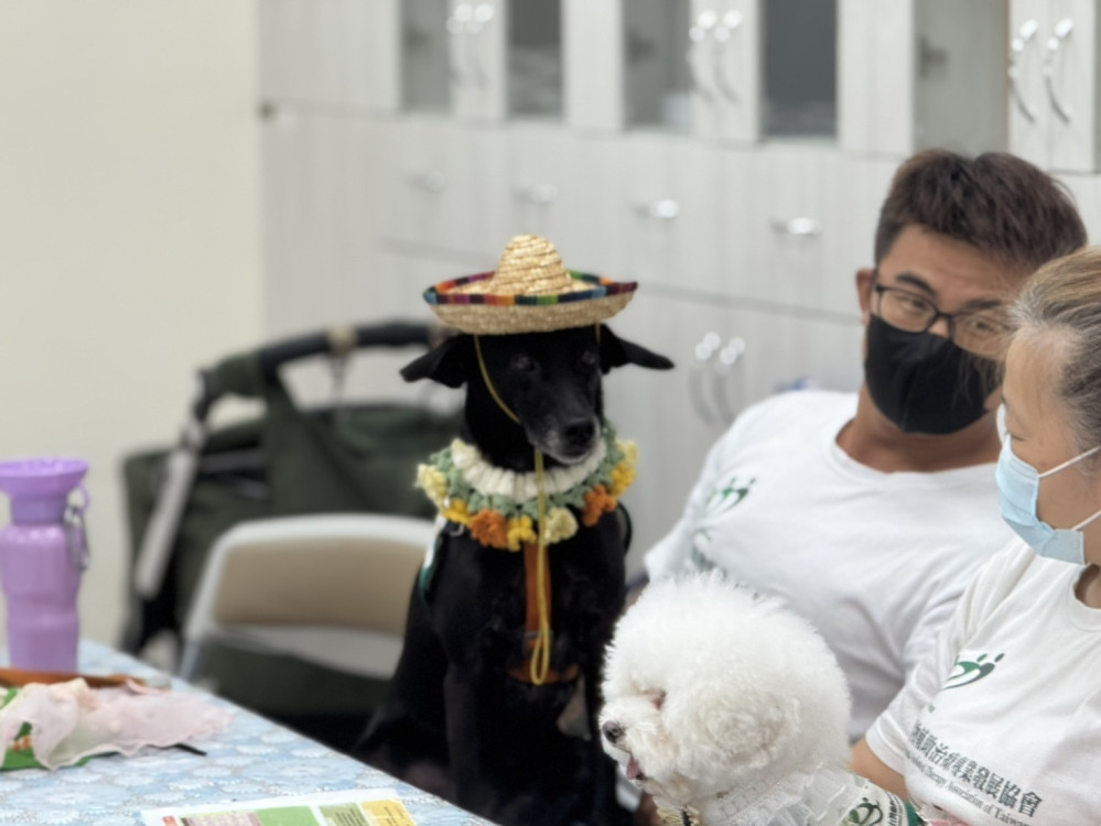 高榮臺南分院喜現治療犬 安寧病房照護添溫情