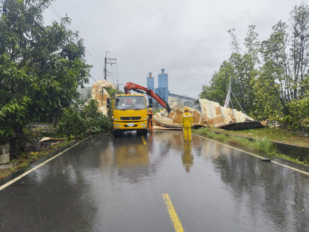 楊柳造成臺南多起停電事故  台電：積極搶修