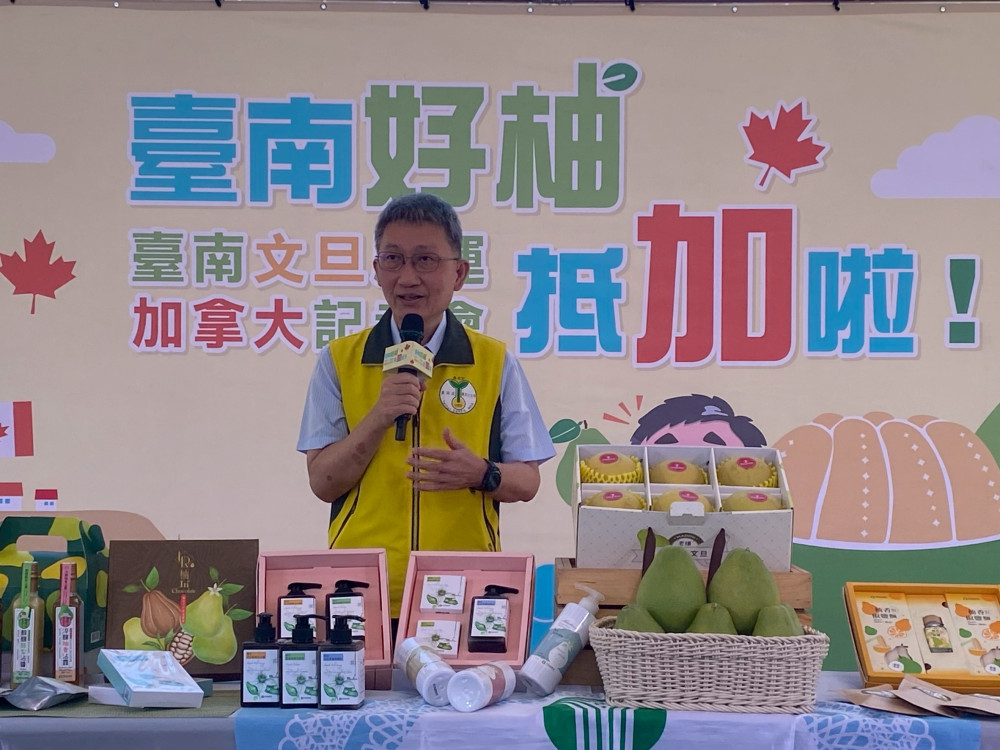 臺南麻豆文旦遠航加國 產地直送海外迎秋節到來