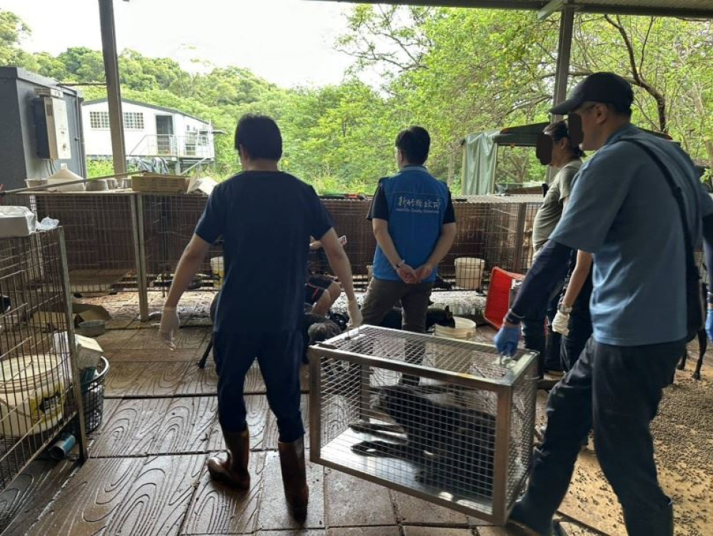 竹縣府查獲犬隻飼養不當案件　飼主涉及違反多項動保法規定依法嚴懲
