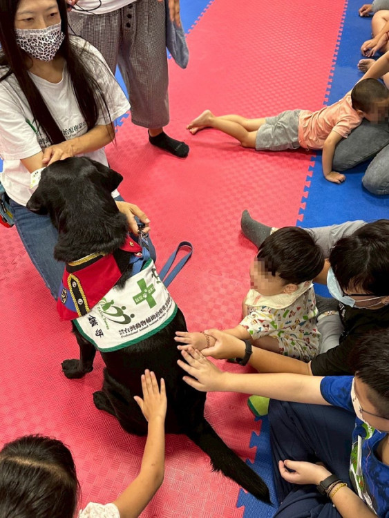 陪伴犬助孩子療育成長  草療辦與狗相癒家屬座談會